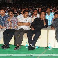 Panja Audio Release - Pictures | Picture 128578